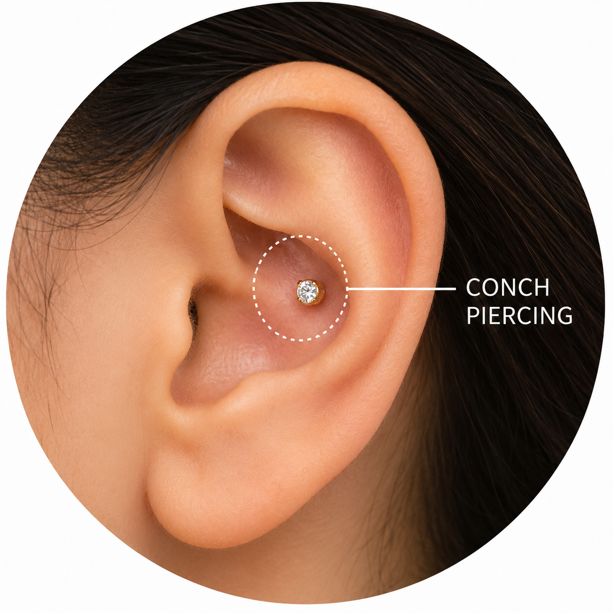 CONCH