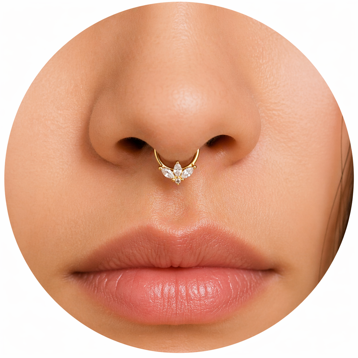 SEPTUM