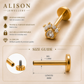 Stainless Steel Paw Zircon Flat Back Stud - PAIR